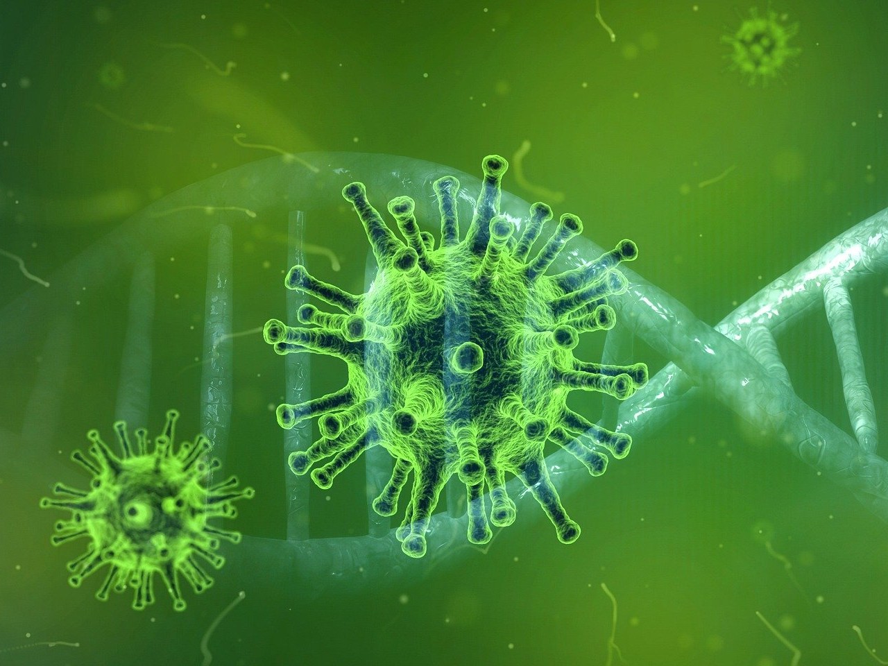 Coronavirus