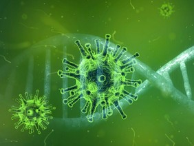 Coronavirus Coronavirus